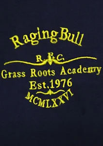 EMBROIDERY