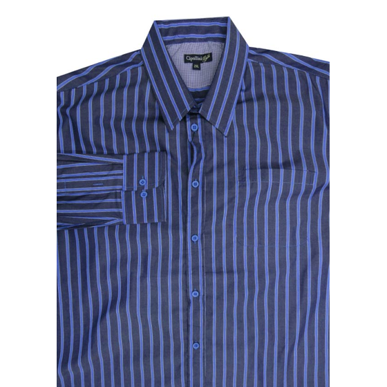 54 CIPOLLINI 1664 STRIPE LS