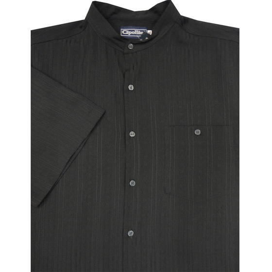 CIPOLLINI 1383 GRANDPA COLLAR SS 640