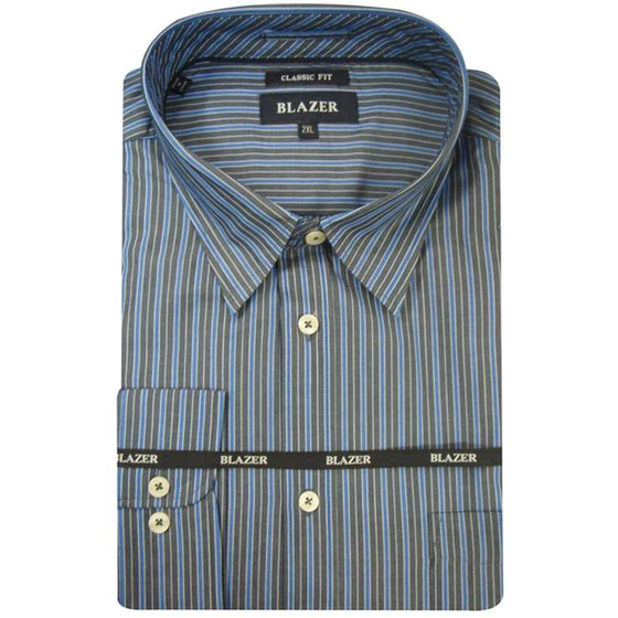 50 BLAZER 229017 MAX LS (250)