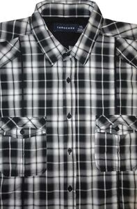 21 TAROCASH 104LS30 TERRACE LS 365