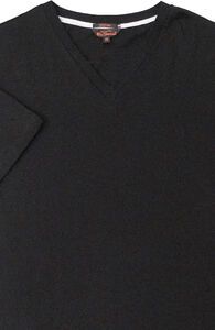 31 BEN SHERMAN 2013 V NECK TEE