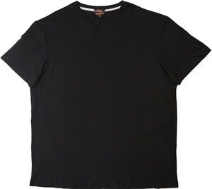 31 BEN SHERMAN 2013 V NECK TEE