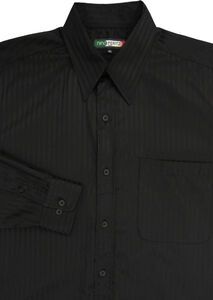 BRIGHTVIEW NINO PERITZI 5056 LS CA