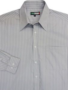 BRIGHTVIEW NINO PERITZI 5056 LS CA