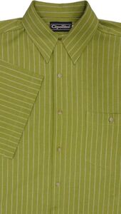 CIPOLLINI 1296 STRIPE SS