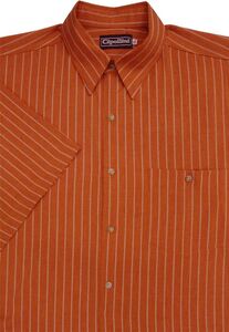 CIPOLLINI 1296 STRIPE SS