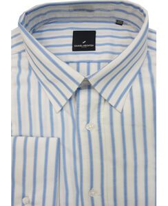 O1 DANIEL HECHTER DS381 TALL RIBBON 417