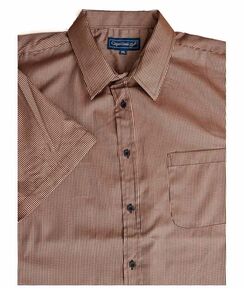 N2 CIPOLLINI 1558 MINICHECK SS 520