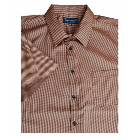 N2 CIPOLLINI 1558 MINICHECK SS 520