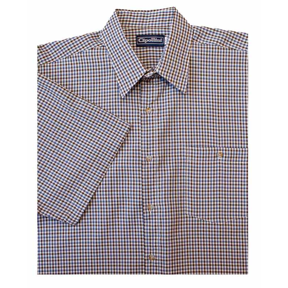 D2 CIPOLLINI 1532 GINGHAM SS 520