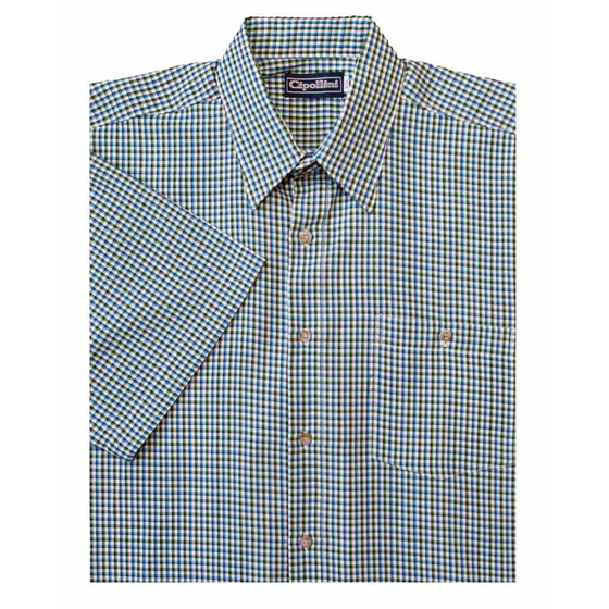 D2 CIPOLLINI 1532 GINGHAM SS 520