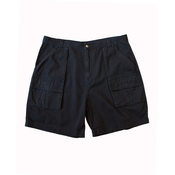 82 BERTINI M67012 NATIONAL CARGO 505