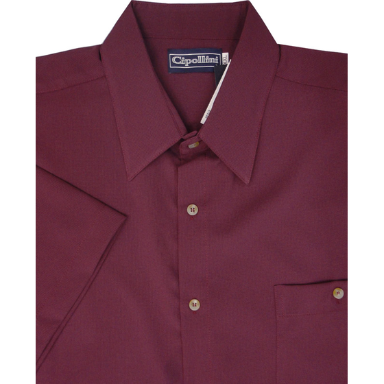 D2 CIPOLLINI 1294 DOBBY SS