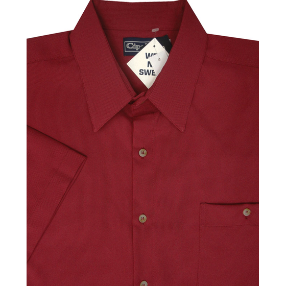 D2 CIPOLLINI 1294 DOBBY SS