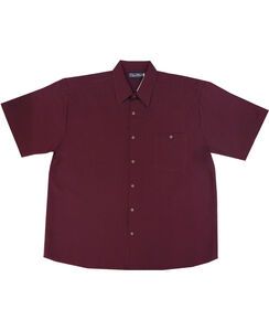 D2 CIPOLLINI 1294 DOBBY SS