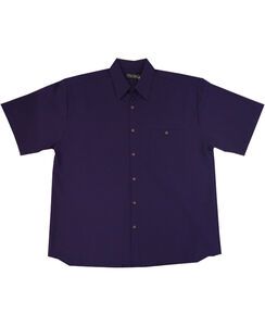 D2 CIPOLLINI 1294 DOBBY SS