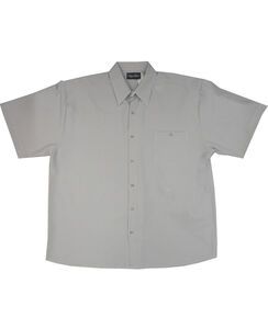 D2 CIPOLLINI 1294 DOBBY SS