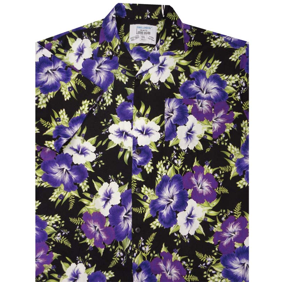 33 DUKE KS11162 HIBISCUS SS 601