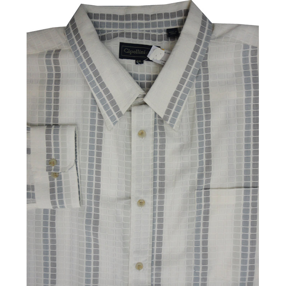 40 CIPOLLINI 1356 SQUARE LS (269)