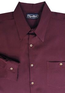 CIPOLLINI 1294 MICROCHCK WET NOSWEAT LS