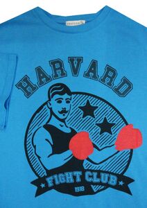 CHARCOAL 13008 HARVARD FIGHT TSHIRT