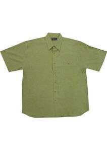 O2 CIPOLLINI 1295 WINDOW CHECK SS 640