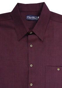 CIPOLLINI 1114 SLUB WEAVE SS 