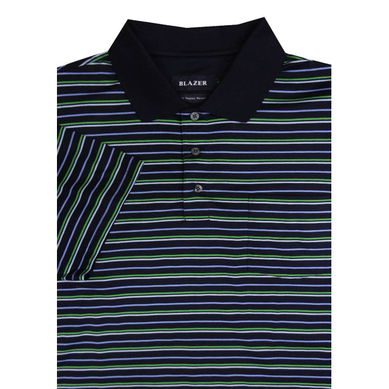 93 BLAZER 4M13553557 DUANE POLO 608