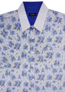 D3 DUMAURIER 115031 SHELL SS