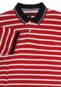 D3 BACK BAY G430118 STRIPE POLO